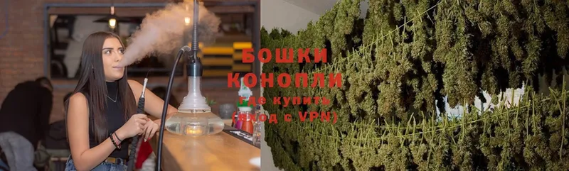 Шишки марихуана SATIVA & INDICA  omg сайт  Каргополь 